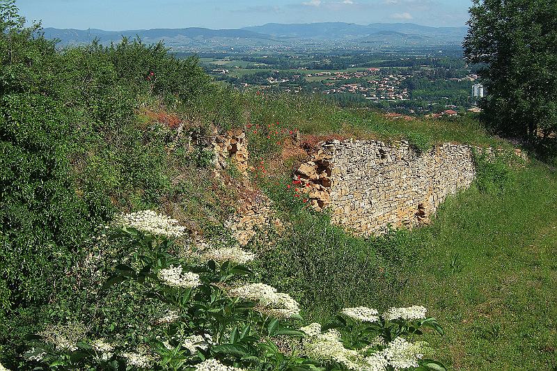 2010-06- (17).JPG